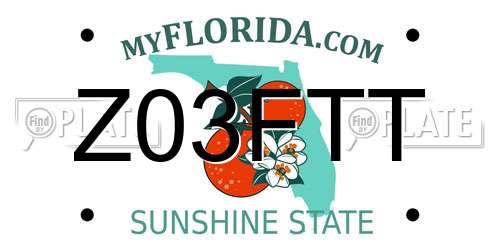 Z03FTT Florida License Plate