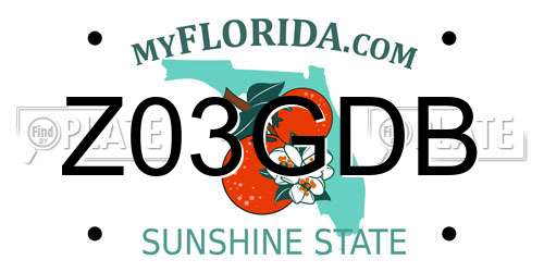 Z03GDB Florida License Plate