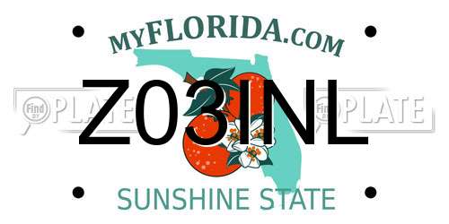 Z03INL Florida License Plate