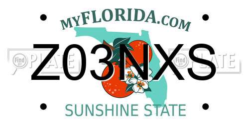 Z03NXS Florida License Plate