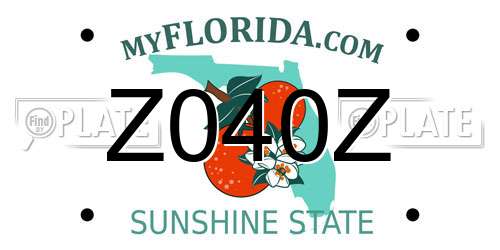 Z040Z Florida License Plate