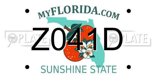 Z041D Florida License Plate