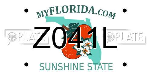Z041L Florida License Plate
