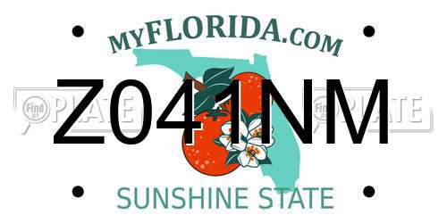 Z041NM Florida License Plate
