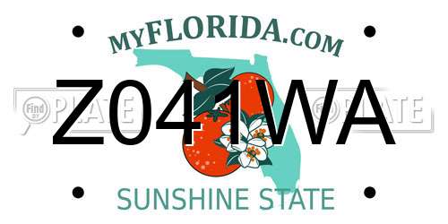 Z041WA Florida License Plate