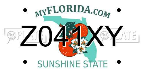 Z041XY Florida License Plate