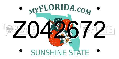 Z042672 Florida License Plate