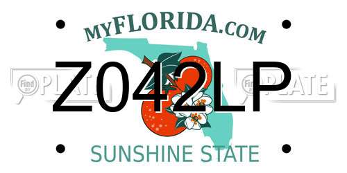 Z042LP Florida License Plate