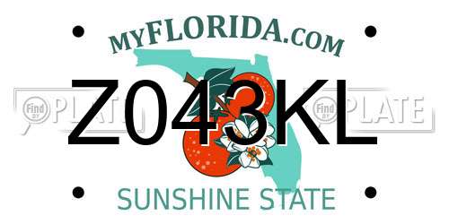 Z043KL Florida License Plate