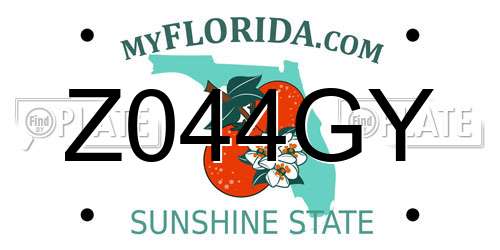 Z044GY Florida License Plate