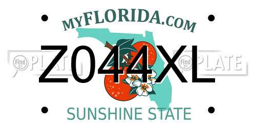 Z044XL Florida License Plate