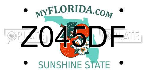 Z045DF Florida License Plate