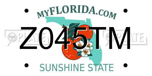Z045TM Florida License Plate