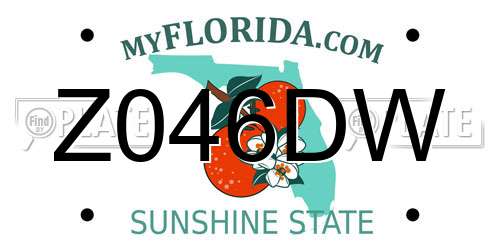 Z046DW Florida License Plate