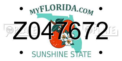 Z047672 Florida License Plate