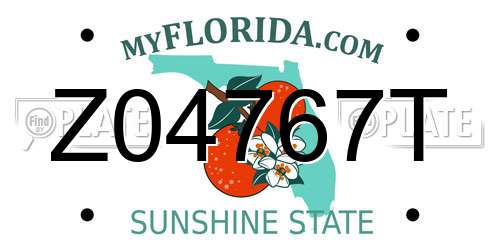 Z04767T Florida License Plate
