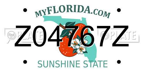 Z04767Z Florida License Plate