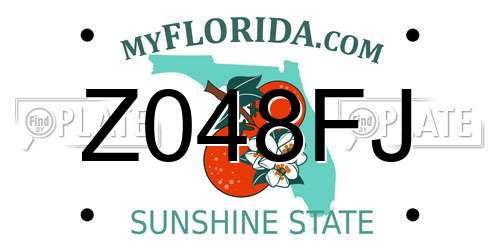Z048FJ Florida License Plate