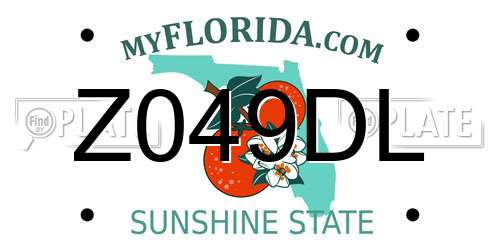 Z049DL Florida License Plate