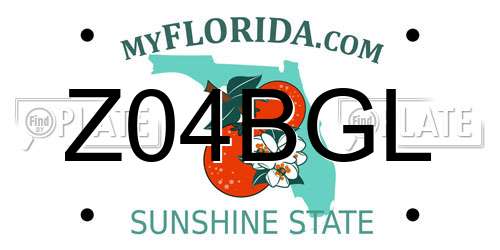 Z04BGL Florida License Plate