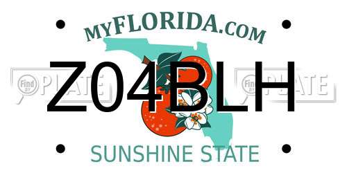 Z04BLH Florida License Plate