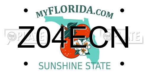 Z04ECN Florida License Plate