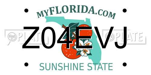 Z04EVJ Florida License Plate
