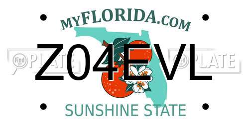 Z04EVL Florida License Plate