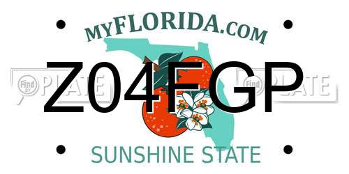 Z04FGP Florida License Plate