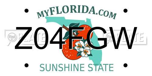 Z04FGW Florida License Plate