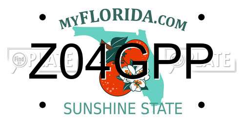 Z04GPP Florida License Plate