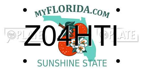 Z04HTI Florida License Plate