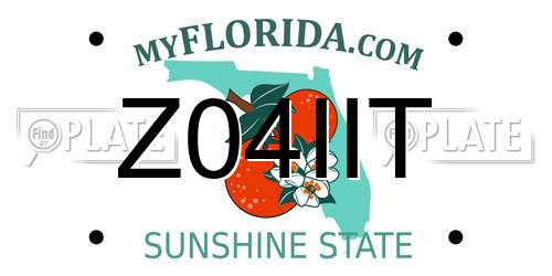 Z04IIT Florida License Plate