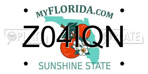 Z04IQN Florida License Plate