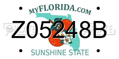 Z05248B Florida License Plate