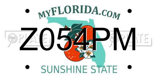 Z054PM Florida License Plate