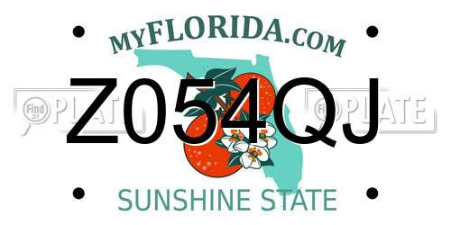 Z054QJ Florida License Plate