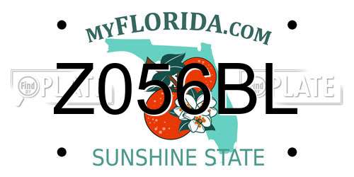 Z056BL Florida License Plate
