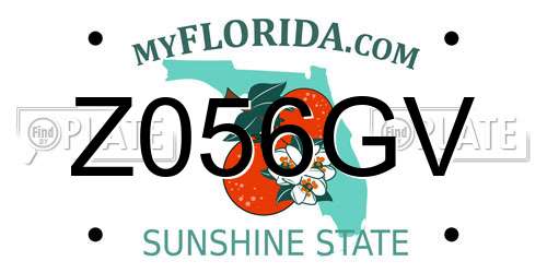 Z056GV Florida License Plate