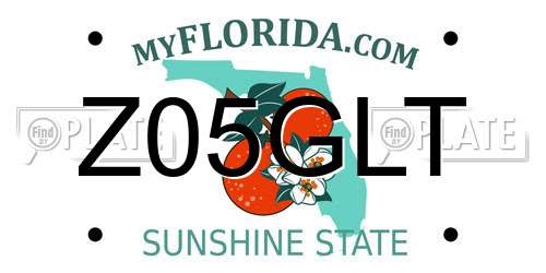 Z05GLT Florida License Plate