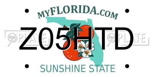 Z05HTD Florida License Plate