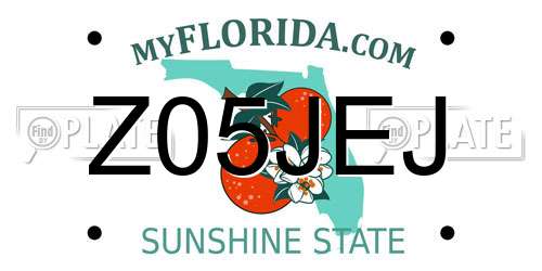 Z05JEJ Florida License Plate
