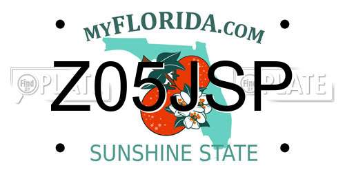 Z05JSP Florida License Plate