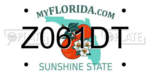 Z061DT Florida License Plate