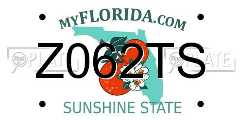 Z062TS Florida License Plate