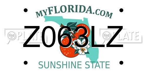 Z063LZ Florida License Plate