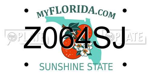 Z064SJ Florida License Plate