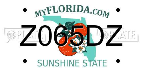 Z065DZ Florida License Plate