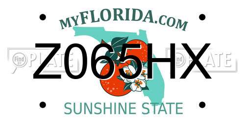 Z065HX Florida License Plate