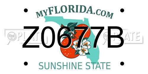 Z0677B Florida License Plate